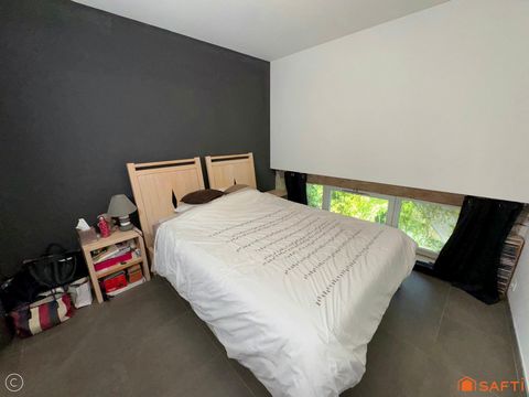 photo no. 11