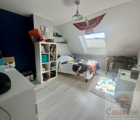 photo no. 11