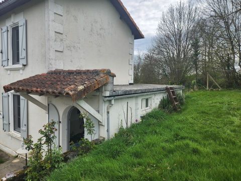 photo no. 15