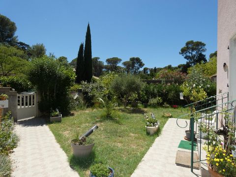 photo no. 1