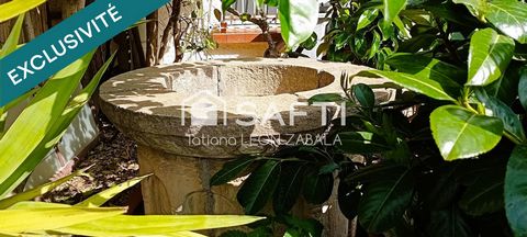 photo no. 11