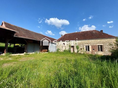 photo no. 3
