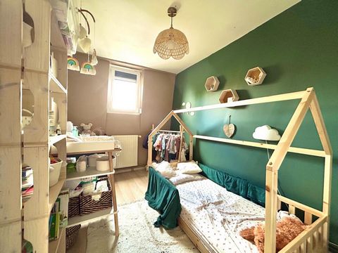 photo no. 11