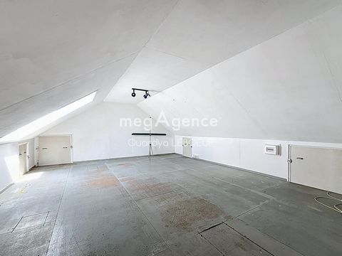 photo no. 6