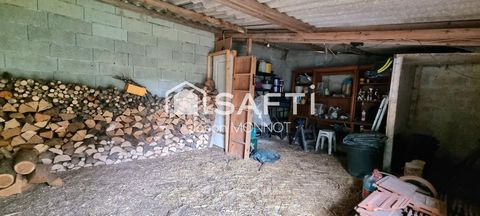photo no. 12