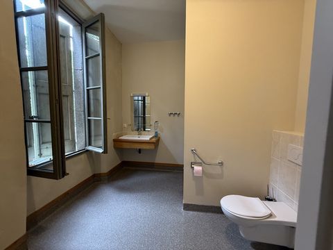 photo no. 11