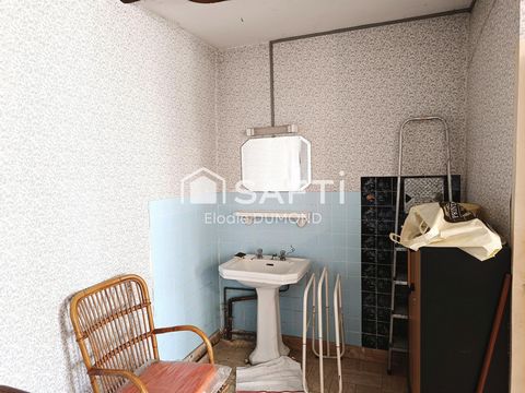photo no. 9