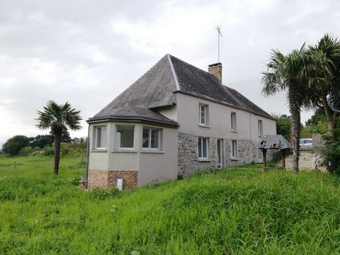 photo no. 11