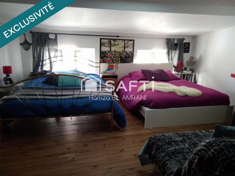 photo no. 11