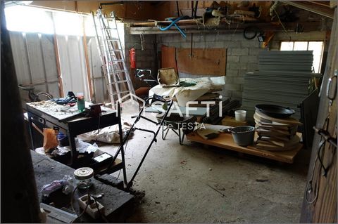 photo no. 10