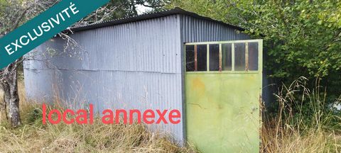 photo no. 5
