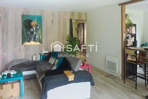 photo no. 6
