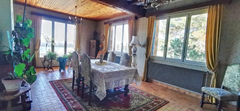 photo no. 13