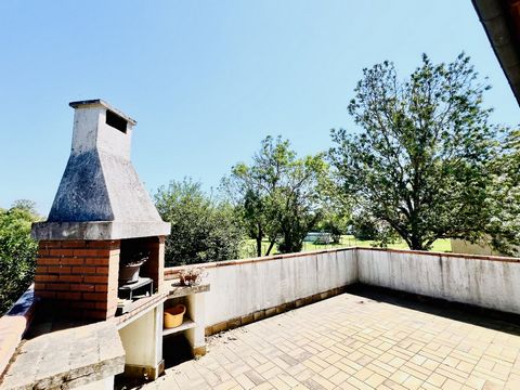 photo no. 3