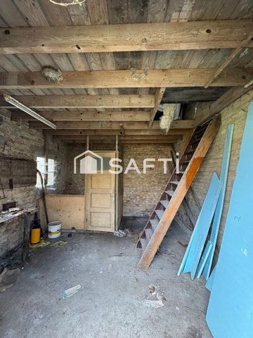 photo no. 8