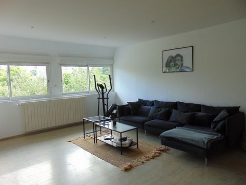 photo no. 11