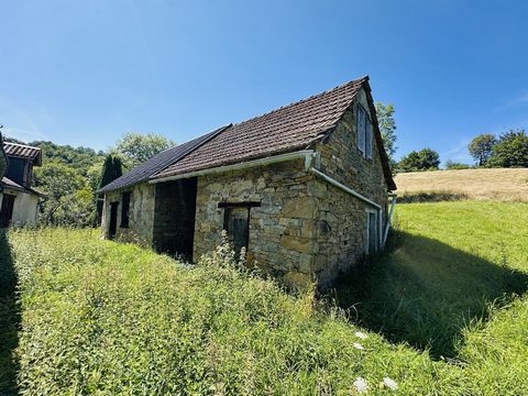 photo no. 5