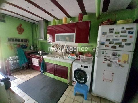 photo no. 4