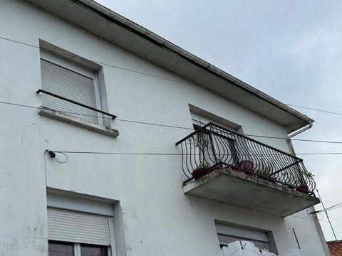 photo no. 4