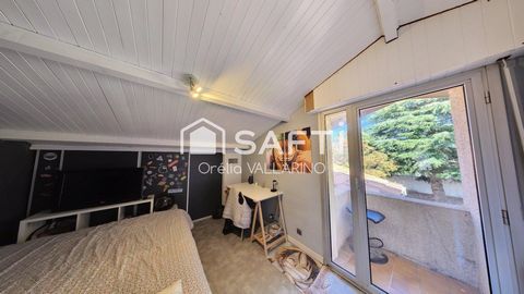 photo no. 8
