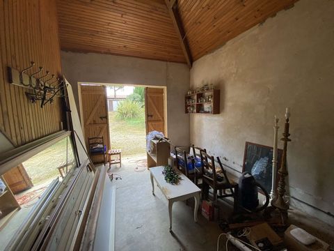 photo no. 15