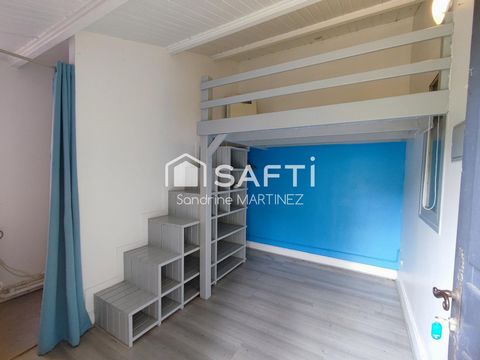 photo no. 11