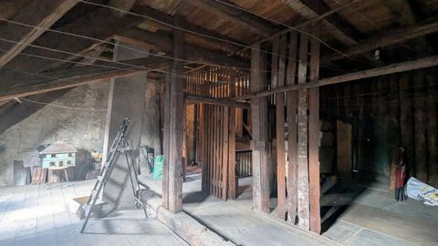 photo no. 15
