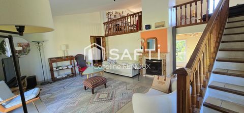photo no. 18