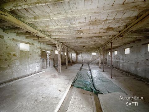 photo no. 6