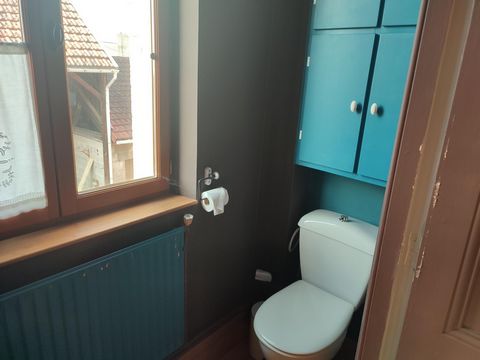 photo no. 11