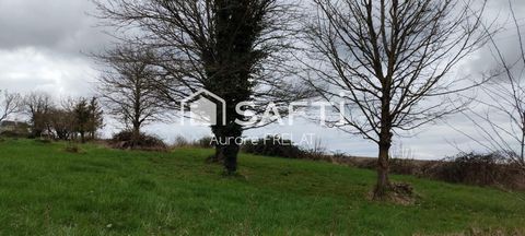 photo no. 1