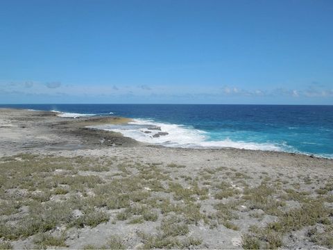 Gelegen op Whale Point Drive, op minder dan 10 minuten van Harbour Island per boot. Ideale home site. Elektriciteit beschikbaar.