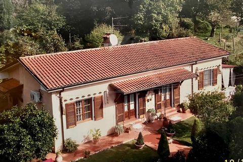 Villino L'Ulivo is located in a sunny and panoramic position on the first hill a short distance from the center of Pietrasanta and a few km from the sea. The property is surrounded by a garden and a large land of about 5000 square meters mainly hilly...