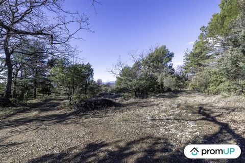 Saint Vallier de Thiey, beautiful land of 28,250 m2, not buildable, very accessible throughout the land and at the edge of a forest track with water nearby Saint Vallier de Thiey, this charming town in the Alpes-Maritimes is 40 minutes from Cannes, 3...