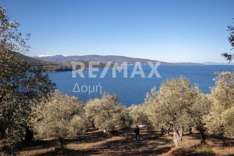 Real estate consultant Rigas Stylas, member of the Sianos Papageorgiou team and RE/MAX Domi. Exclusively available from our team for sale is a plot of land with an area of 1200 sq.m. in Marathias. it is a plot of land that has a frontage of 45 meters...