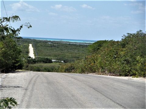 Distant views of the Caribbean Sea from this elevated lot. Centrally located close to shopping, gas station, schools, restaurants and boat ramps. Clarence Town, the capital, is only a 15-minute drive from this property where the two freighters from F...