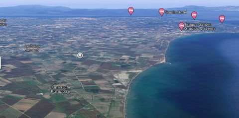 Land for sale in Lechaina, Kyllini. The plot is 16,756 sq.m. outside the city plan. View: Unlimited Buildable Dimensions: 68,50x262,56 Amenities: Electricity, water, Distance from the sea in meters: 1600 m