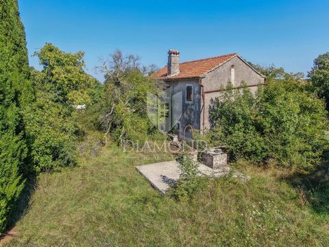 Location: Istarska županija, Žminj, Žminj. Istrien, Žminj, Umgebung, Diese authentische istrische Villa befindet sich in der wunderschönen Umgebung der Region Istrien und bietet die ideale Gelegenheit, eine Oase des friedlichen Lebens zu schaffen. Di...