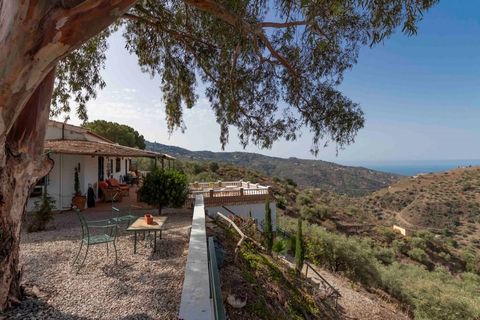 Between the villages of Arenas and Sayalonga, in the middle of olive groves, lies this rural finca. The property consists of two separate residential entities. From the street, you reach a shaded parking area under a beautiful tree. From here you rea...