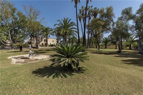 Spectacular rustic finca with a lot of character on a plot of 64,000m2 approx. This property has a constructed area of 1450m2 approx., currently functions as a hotel and restaurant. It has spacious living rooms, furnished industrial kitchen, fireplac...