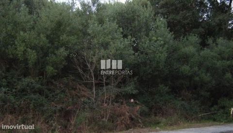Land with an area of 270 m2. For construction. Area with good access. Ref.:5137 ENTREPORTAS Founded in 2004, the ENTREPORTAS group with more than 15 years, is a leader in real estate mediation in the markets in which it operates, offering a quality a...
