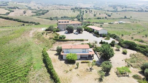 ARCIDOSSO (GR): wine-growing and agritourism farm of about 46 hectares with stone farmhouse, two warehouses, technical room and cellar, composed as follows: -vineyards of approximately 18 hectares registered for DOC Montecucco and DOCG Montecucco San...