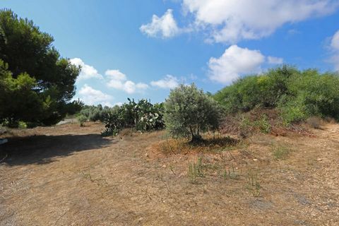 Idyllic position of a touristic elevated plot of land with Zone T2β1a, SEA VIEWS and occupying 2 sides of the main Cape Greko to Ayia Napa road measuring 4,812m2 - LCAP127 This 4,812m2 plot has two positions on either side of the main coastal road le...