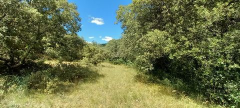 Een prachtig recreatiegebied midden in het kreupelhout gelegen tussen Uzès en Saint Maximin met een oppervlakte van 2.500 m2, dit beboste en niet-omheinde land biedt een uitzonderlijke natuurlijke omgeving, ideaal voor liefhebbers van natuur en rust....