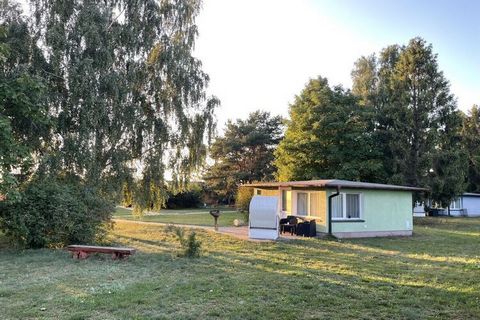 Geräumige Ferienwohnung im schönen idyllischen Kamminke auf Usedom. 2 SZ und Schlafbereich im Wohnzimmer. Bad, Küche, Esstisch, Terrasse.