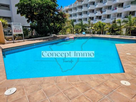 Great studio with balcony in the heart of Playa de Las Americas - only 500m from the beach! This well-kept apartment is located in the heart of Playa de Las Americas, just 500 meters from the sea. The apartment is practically furnished and has a livi...