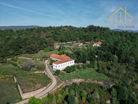 Farm with a manor, 10 houses, 44 ha, 15 springs and a wonderful forest! Are you looking for a fertile farm, with many springs, with high potential and tranquility in perfect harmony? Come and see it. Welcome to this Quinta, it is located in the much ...