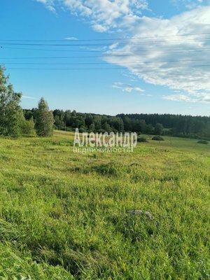 1694617 Земельный участок 15 соток в поселке Кондратьево 40 км от Выборга. Участок: Участок ровный, правильной формы, почва песчаная, не имеется никаких деревьев и камней, место очень солнечное. До трассы Скандинавия 5 минут на машине. Зимой все доро...