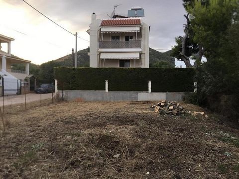 A vendre un terrain de 313 m².m., dans le plan de la ville à Nea Makri, Attique. Permis de construire pour 225 m².m.  Le terrain situé dans un beau quartier résidentiel, avec de belles villas voisines et des résidents permanents. Il se trouve à 1 km ...