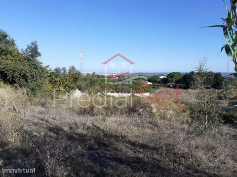 Rustic land well located in Palmela, with a total area of 7750m2, with feasibility of building area until 194m2 and implementation area of the building of 194. The land is close to Pingo Doce de Palmela, (2 minutes by car), has the infrastructure nea...